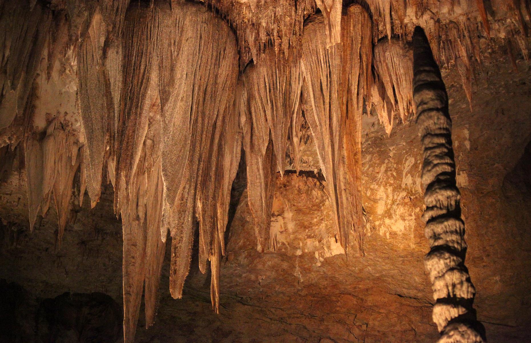 Carlsbad Caverns National Park, New Mexico